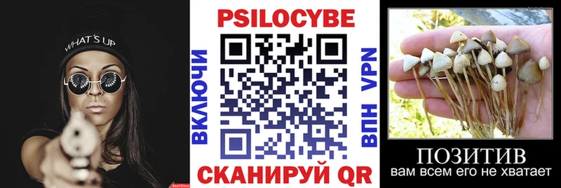 Псилоцибиновые грибы Psilocybine cubensis  купить наркоту  Лабинск 